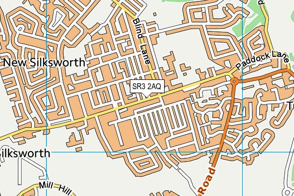 SR3 2AQ map - OS VectorMap District (Ordnance Survey) SR3 2AQ map - OS VectorMap District (Ordnance Survey)