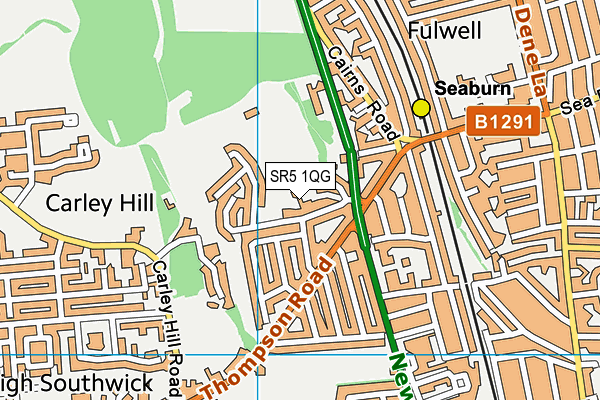 SR5 1QG map - OS VectorMap District (Ordnance Survey)