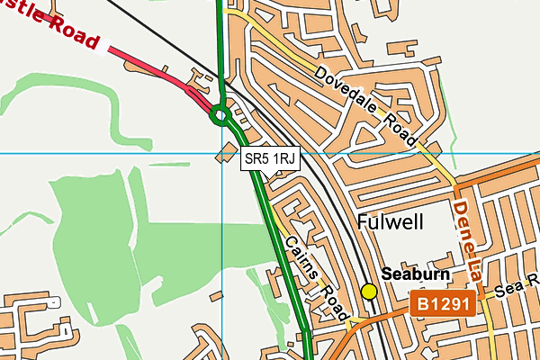 SR5 1RJ map - OS VectorMap District (Ordnance Survey) SR5 1RJ map - OS VectorMap District (Ordnance Survey)