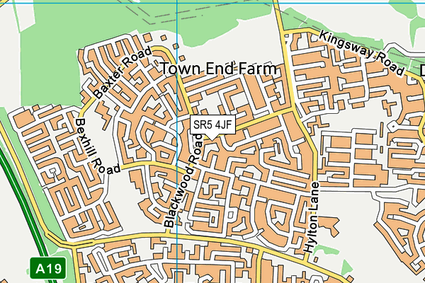 SR5 4JF map - OS VectorMap District (Ordnance Survey) SR5 4JF map - OS VectorMap District (Ordnance Survey)