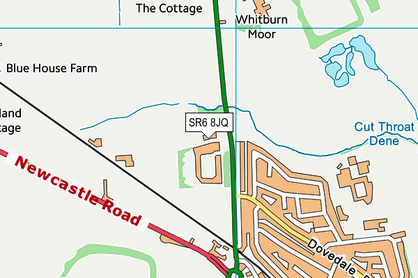 SR6 8JQ map - OS VectorMap District (Ordnance Survey) SR6 8JQ map - OS VectorMap District (Ordnance Survey)