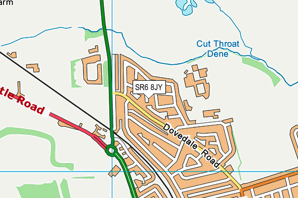 SR6 8JY map - OS VectorMap District (Ordnance Survey) SR6 8JY map - OS VectorMap District (Ordnance Survey)