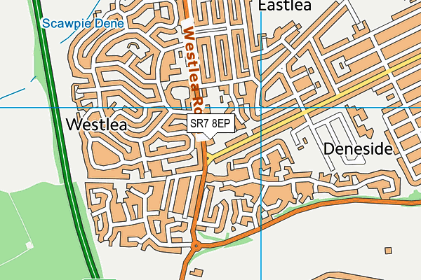 SR7 8EP map - OS VectorMap District (Ordnance Survey) SR7 8EP map - OS VectorMap District (Ordnance Survey)