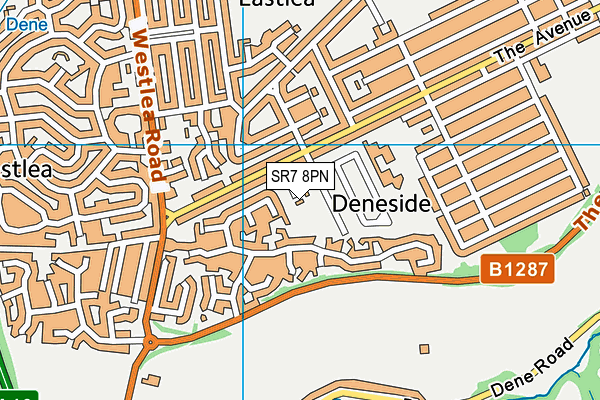 SR7 8PN map - OS VectorMap District (Ordnance Survey) SR7 8PN map - OS VectorMap District (Ordnance Survey)