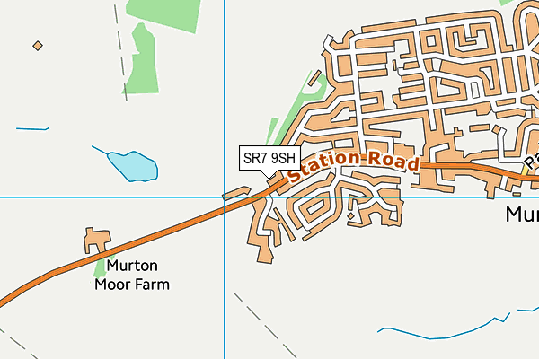 SR7 9SH map - OS VectorMap District (Ordnance Survey) SR7 9SH map - OS VectorMap District (Ordnance Survey)