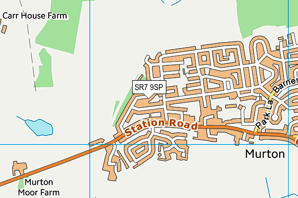 SR7 9SP map - OS VectorMap District (Ordnance Survey) SR7 9SP map - OS VectorMap District (Ordnance Survey)