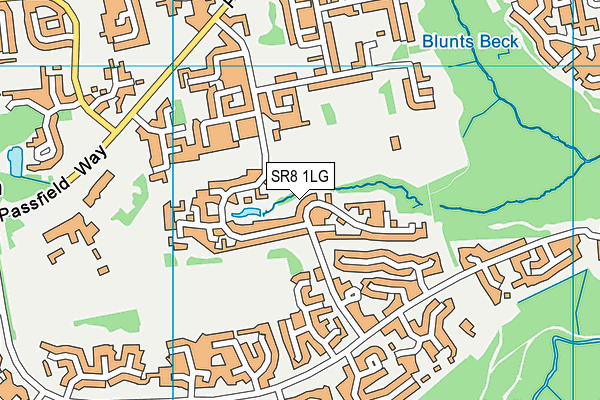 SR8 1LG map - OS VectorMap District (Ordnance Survey) SR8 1LG map - OS VectorMap District (Ordnance Survey)