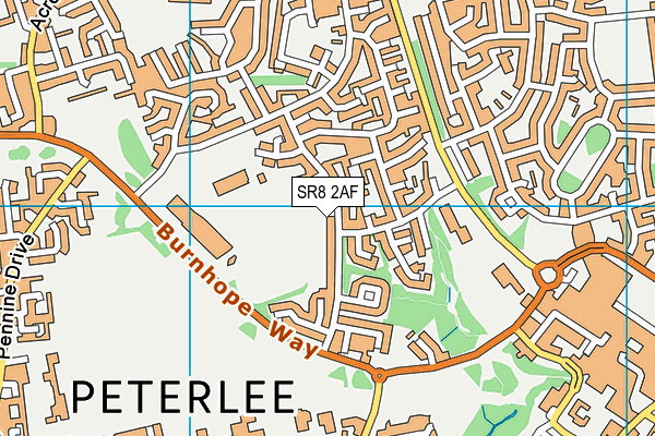 SR8 2AF map - OS VectorMap District (Ordnance Survey) SR8 2AF map - OS VectorMap District (Ordnance Survey)