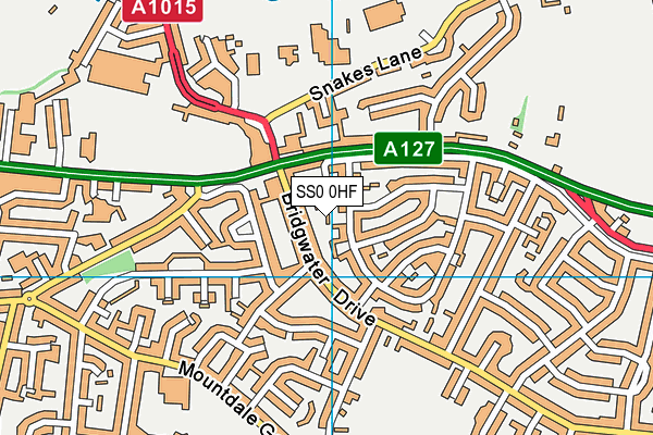 SS0 0HF map - OS VectorMap District (Ordnance Survey) SS0 0HF map - OS VectorMap District (Ordnance Survey)