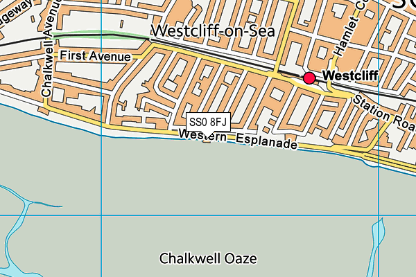 SS0 8FJ map - OS VectorMap District (Ordnance Survey) SS0 8FJ map - OS VectorMap District (Ordnance Survey)
