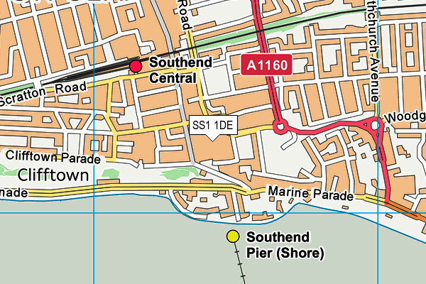 SS1 1DE map - OS VectorMap District (Ordnance Survey) SS1 1DE map - OS VectorMap District (Ordnance Survey)