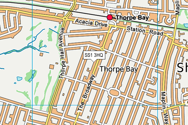 SS1 3HQ map - OS VectorMap District (Ordnance Survey) SS1 3HQ map - OS VectorMap District (Ordnance Survey)