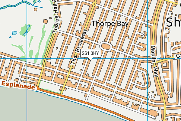 SS1 3HY map - OS VectorMap District (Ordnance Survey) SS1 3HY map - OS VectorMap District (Ordnance Survey)
