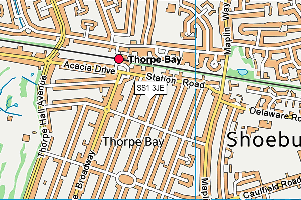 SS1 3JE map - OS VectorMap District (Ordnance Survey) SS1 3JE map - OS VectorMap District (Ordnance Survey)