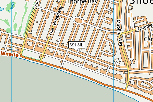 SS1 3JL map - OS VectorMap District (Ordnance Survey) SS1 3JL map - OS VectorMap District (Ordnance Survey)