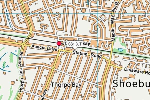 SS1 3JT map - OS VectorMap District (Ordnance Survey) SS1 3JT map - OS VectorMap District (Ordnance Survey)