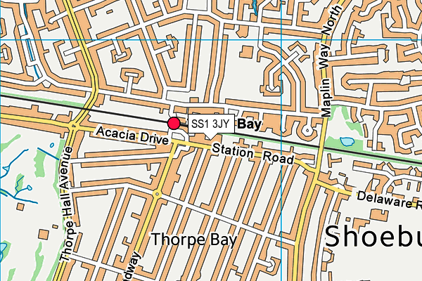 SS1 3JY map - OS VectorMap District (Ordnance Survey) SS1 3JY map - OS VectorMap District (Ordnance Survey)