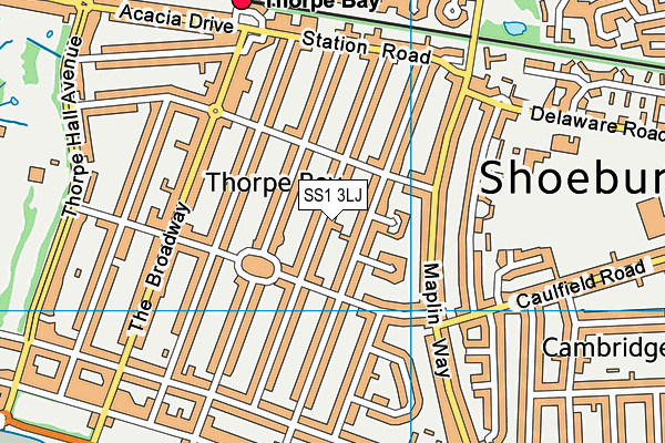 SS1 3LJ map - OS VectorMap District (Ordnance Survey) SS1 3LJ map - OS VectorMap District (Ordnance Survey)