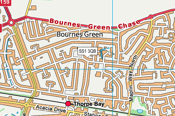 SS1 3QB map - OS VectorMap District (Ordnance Survey) SS1 3QB map - OS VectorMap District (Ordnance Survey)