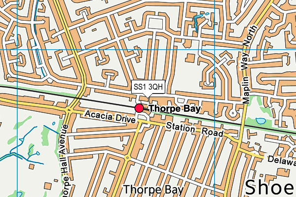 SS1 3QH map - OS VectorMap District (Ordnance Survey) SS1 3QH map - OS VectorMap District (Ordnance Survey)