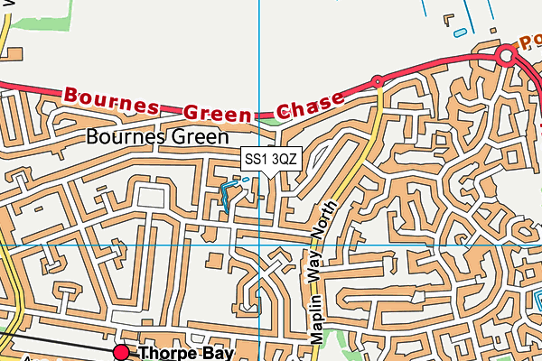 SS1 3QZ map - OS VectorMap District (Ordnance Survey) SS1 3QZ map - OS VectorMap District (Ordnance Survey)