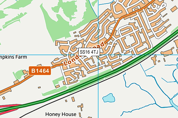 SS16 4TJ map - OS VectorMap District (Ordnance Survey) SS16 4TJ map - OS VectorMap District (Ordnance Survey)