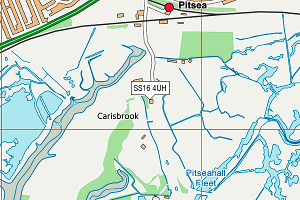SS16 4UH map - OS VectorMap District (Ordnance Survey) SS16 4UH map - OS VectorMap District (Ordnance Survey)