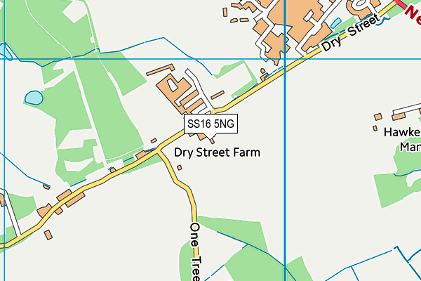 SS16 5NG map - OS VectorMap District (Ordnance Survey) SS16 5NG map - OS VectorMap District (Ordnance Survey)