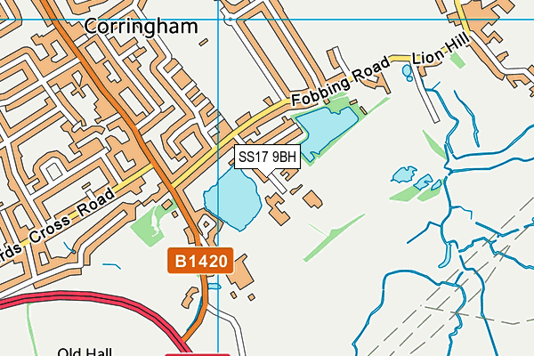 SS17 9BH map - OS VectorMap District (Ordnance Survey) SS17 9BH map - OS VectorMap District (Ordnance Survey)