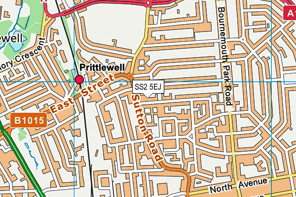 SS2 5EJ map - OS VectorMap District (Ordnance Survey) SS2 5EJ map - OS VectorMap District (Ordnance Survey)