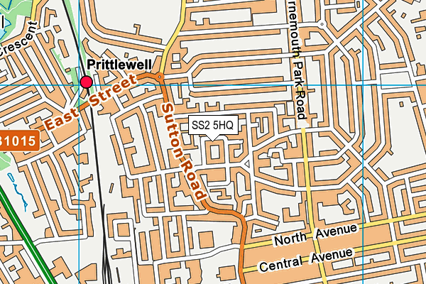 SS2 5HQ map - OS VectorMap District (Ordnance Survey) SS2 5HQ map - OS VectorMap District (Ordnance Survey)