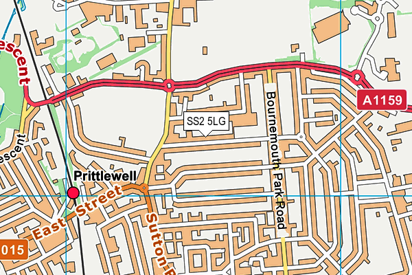 SS2 5LG map - OS VectorMap District (Ordnance Survey) SS2 5LG map - OS VectorMap District (Ordnance Survey)
