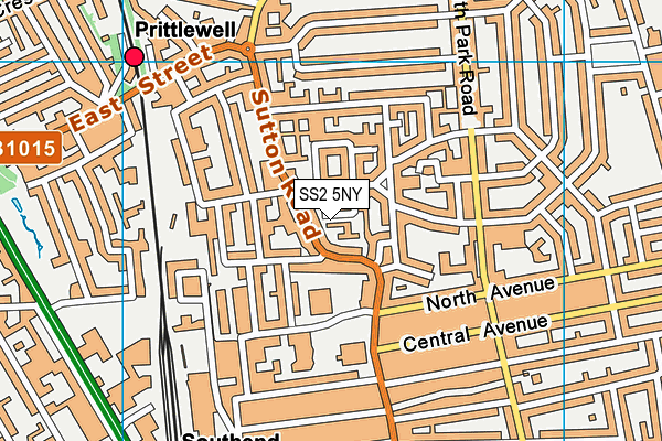 SS2 5NY map - OS VectorMap District (Ordnance Survey) SS2 5NY map - OS VectorMap District (Ordnance Survey)