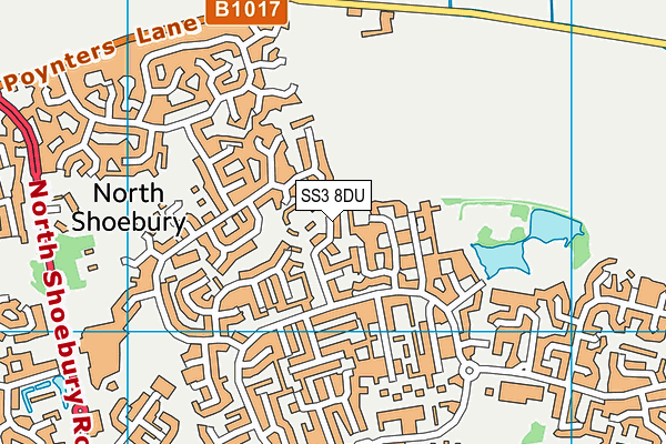 SS3 8DU map - OS VectorMap District (Ordnance Survey) SS3 8DU map - OS VectorMap District (Ordnance Survey)