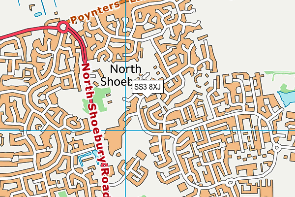 SS3 8XJ map - OS VectorMap District (Ordnance Survey) SS3 8XJ map - OS VectorMap District (Ordnance Survey)