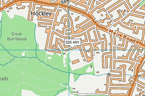 SS5 4NY map - OS VectorMap District (Ordnance Survey) SS5 4NY map - OS VectorMap District (Ordnance Survey)