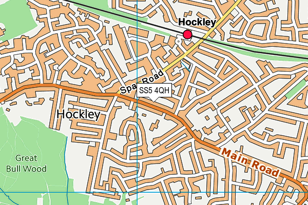 SS5 4QH map - OS VectorMap District (Ordnance Survey) SS5 4QH map - OS VectorMap District (Ordnance Survey)