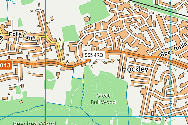SS5 4RQ map - OS VectorMap District (Ordnance Survey) SS5 4RQ map - OS VectorMap District (Ordnance Survey)
