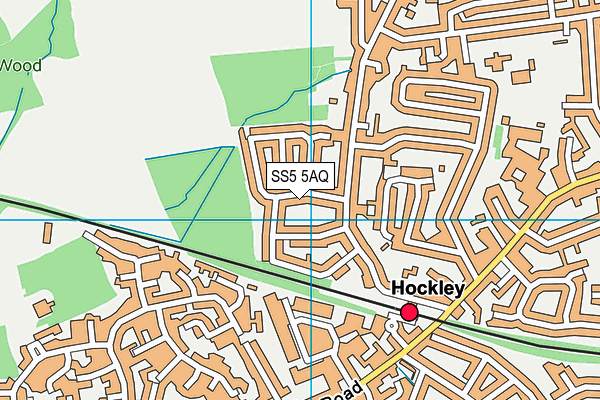 SS5 5AQ map - OS VectorMap District (Ordnance Survey) SS5 5AQ map - OS VectorMap District (Ordnance Survey)