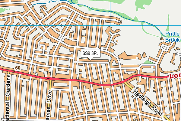 SS9 3PJ map - OS VectorMap District (Ordnance Survey) SS9 3PJ map - OS VectorMap District (Ordnance Survey)