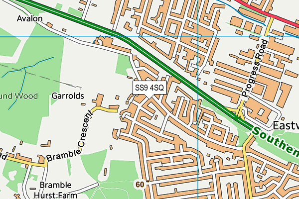SS9 4SQ map - OS VectorMap District (Ordnance Survey)