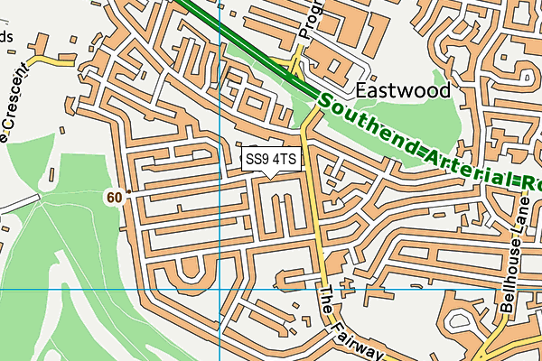 SS9 4TS map - OS VectorMap District (Ordnance Survey) SS9 4TS map - OS VectorMap District (Ordnance Survey)