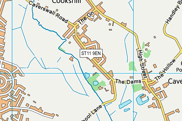 ST11 9EN map - OS VectorMap District (Ordnance Survey) ST11 9EN map - OS VectorMap District (Ordnance Survey)