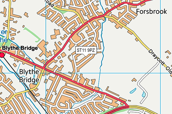 ST11 9PZ map - OS VectorMap District (Ordnance Survey) ST11 9PZ map - OS VectorMap District (Ordnance Survey)