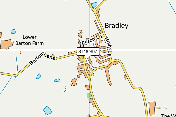 ST18 9DZ map - OS VectorMap District (Ordnance Survey) ST18 9DZ map - OS VectorMap District (Ordnance Survey)