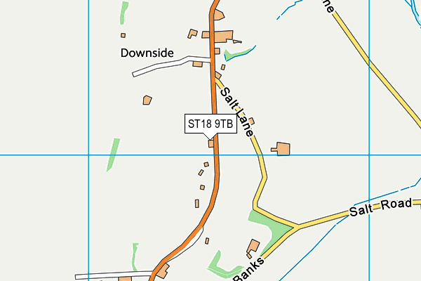 ST18 9TB map - OS VectorMap District (Ordnance Survey) ST18 9TB map - OS VectorMap District (Ordnance Survey)