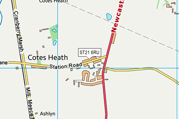 ST21 6RU map - OS VectorMap District (Ordnance Survey) ST21 6RU map - OS VectorMap District (Ordnance Survey)
