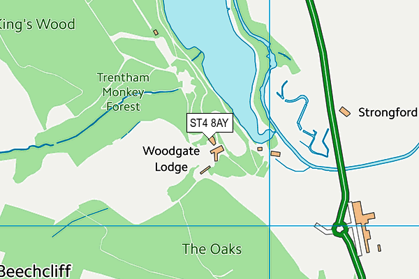ST4 8AY map - OS VectorMap District (Ordnance Survey) ST4 8AY map - OS VectorMap District (Ordnance Survey)
