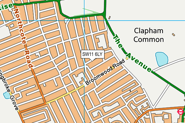 SW11 6LY map - OS VectorMap District (Ordnance Survey) SW11 6LY map - OS VectorMap District (Ordnance Survey)