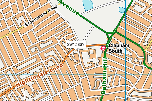 SW12 8SY map - OS VectorMap District (Ordnance Survey) SW12 8SY map - OS VectorMap District (Ordnance Survey)